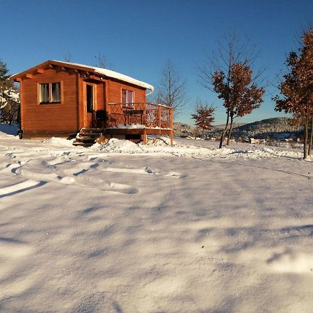 Champagnac-le-Vieux Le Chalet Des Etoiles المظهر الخارجي الصورة