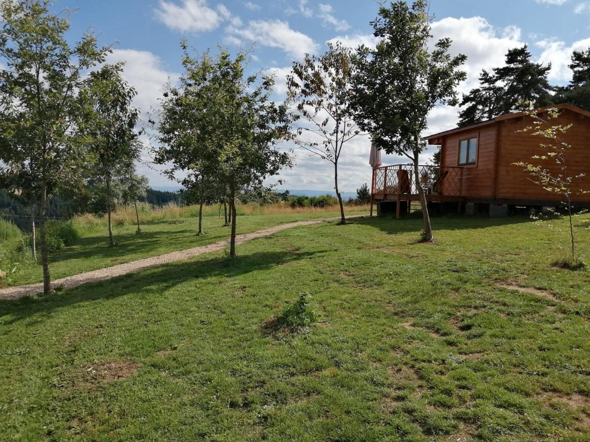 Champagnac-le-Vieux Le Chalet Des Etoiles المظهر الخارجي الصورة