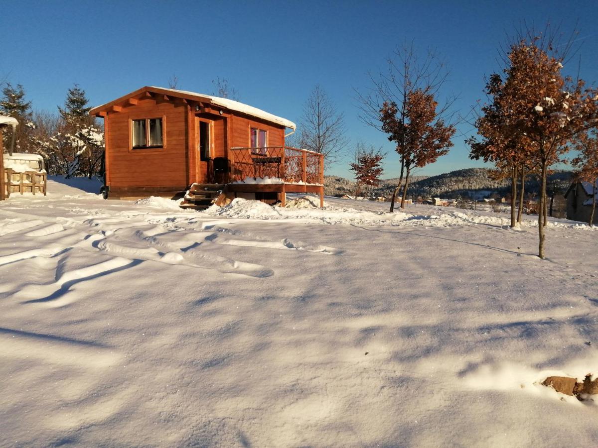Champagnac-le-Vieux Le Chalet Des Etoiles المظهر الخارجي الصورة